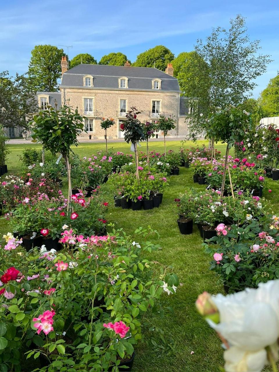 Le Manoir Du Ribardon Bed and Breakfast Neuvy-au-Houlme Buitenkant foto